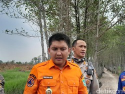 Bupati Panca: Buka Lahan dengan Cara Dibakar Sudah Turun-Temurun, tapi...