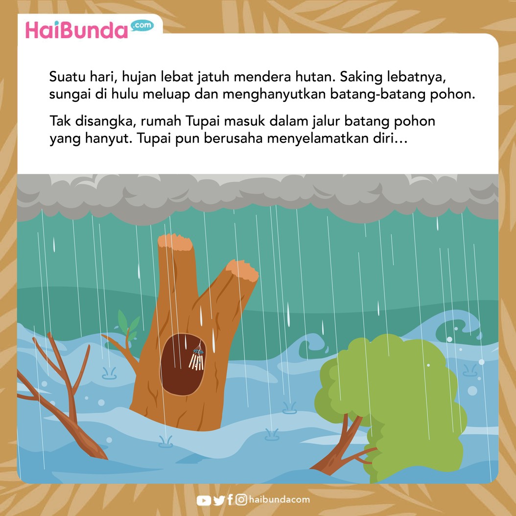 Cerita Fabel Tupai Si Penumpuk Barang