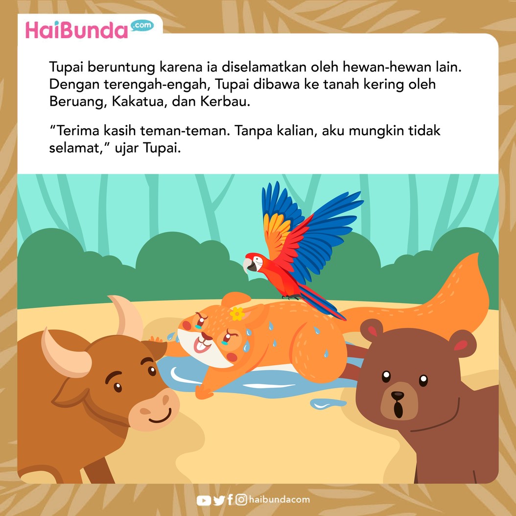 Cerita Fabel Tupai Si Penumpuk Barang