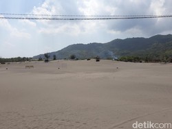 Restorasi Tahap Awal Gumuk Pasir Parangtritis Mulai Tahun Ini hingga 2029