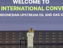 Bos SKK Migas Buka-bukaan Nasib Harta Karun Jumbo di Papua