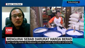 VIDEO: Mengurai Sebab Darurat Harga Beras