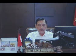 Luhut Bantah Tesla Pakai LFP, Masih Pakai Nikel Disuplai LG