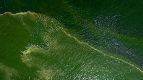 FOTO: Plankton Ciptakan Hamparan Hijau Mematikan di Laut Thailand