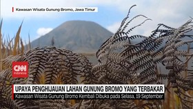 VIDEO: Upaya Penghijauan Lahan Gunung Bromo yang Terbakar