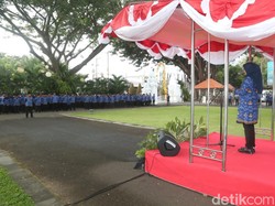 Banyuwangi Buka 659 Formasi PPPK untuk Guru, Kesehatan dan Teknis
