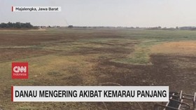 VIDEO: Berbagai Dampak dari Kemarau Panjang