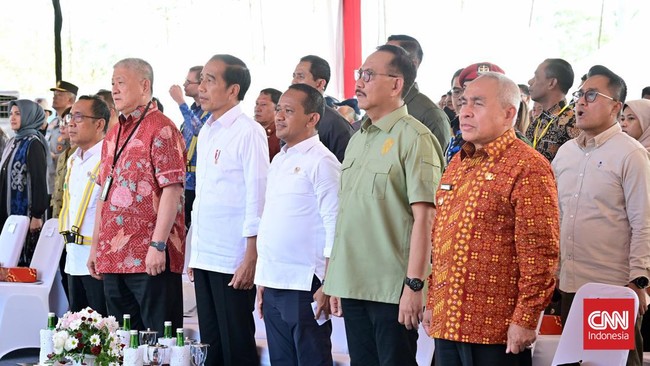 Presiden Jokowi menyebut 10 kelompok perusahaan di dalam negeri di bawah pimpinan Bos Agung Sedayu Group menanamkan Rp20 triliun di IKN. Berikut daftarnya.