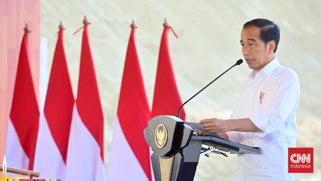 Jokowi menyebut Bambang Susantono mengundurkan diri dari posisinya sebagai kepala OIKN dengan argumen pribadi.