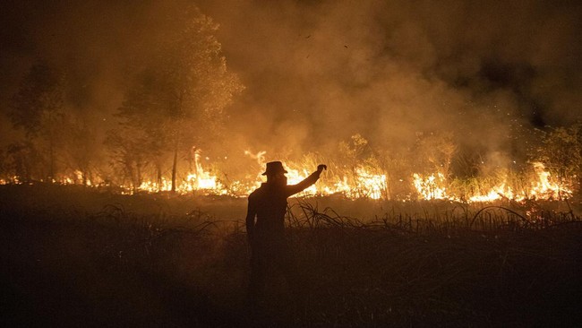 Kebakaran lahan terjadi di lereng Gunung Jayanti, Desa Jayanti, Kecamatan Palabuhanratu, Kabupaten Sukabumi, Jawa Barat, pada Jumat (22/9).