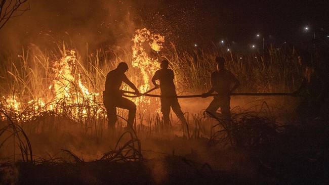 Hutan pinus Loka yang berada di Kabupaten Jeneponto, Sulawesi Selatan, terbakar. Kebakaran yang terjadi sejak Senin (25/9) belum juga padam.