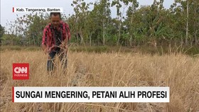 VIDEO: Saluran Irigasi Mengering Akibat Kemarau, Petani Alih Profesi