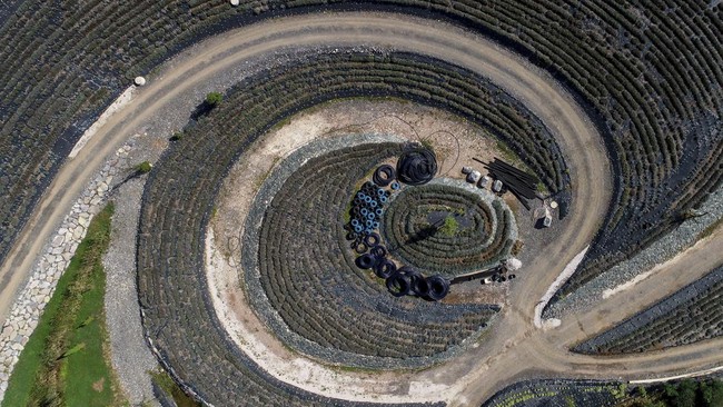 FOTO: Taman di Bosnia 'Disulap' Menyerupai Lukisan Van Gogh