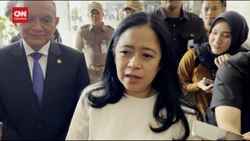 VIDEO: Demokrat Dukung Prabowo, Puan Benarkan AHY Sudah Pamit