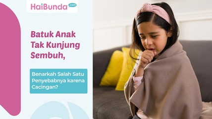 Detik Network