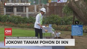 VIDEO: Jokowi Tanam Pohon di IKN