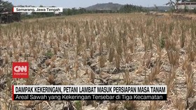VIDEO: Dampak Kekeringan, Petani Lambat Masuk Persiapan Masa Tanam
