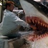 Sinopsis Deep Blue Sea, Bioskop Trans TV 6 September 2025