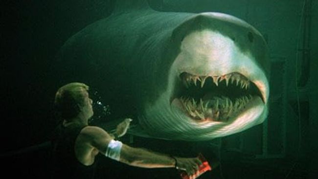Jadwal Bioskop Trans TV hari ini (22 September) Deep Blue Sea (1999). Berikut sinopsis Deep Blue Sea dibintangi Saffron Burrows dan Samuel L. Jackson.