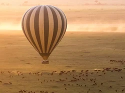 Punya Duit Rp 3 Miliar? Bisa 24 Hari Keliling Dunia Naik Jet Pribadi