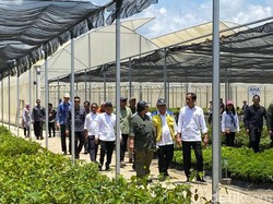 Jokowi Resmikan Persemaian Mentawir IKN, Kapasitas 15 Juta Bibit Tanaman