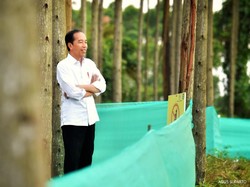 Jokowi Usai Nginep di Rumah Dinas Menteri di IKN: Tidur Nyenyak Sekali