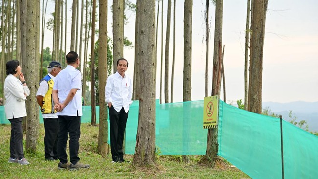 Jokowi memberikan penugasan ke Bambang Susantono nan baru mengundurkan diri dari Kepala OIKN; memperkuat kerja sama internasional untuk IKN.