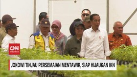 VIDEO: Siap Hijaukan IKN, Jokowi Tinjau Persemaian Mentawir