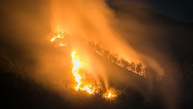 Karhutla Gunung Lawu Meluas hingga 1.100 Hektare