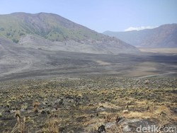 Pemerintah Janjikan New Bromo Bakal Lebih Keren