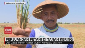 VIDEO: Perjuangan Petani di Tanah Kering