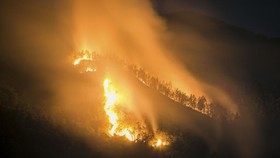 Kebakaran Gunung Lawu Meluas, 1.990 Hektare Terdampak