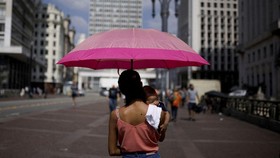 FOTO: 'Neraka Bocor' Juga Panggang Brasil