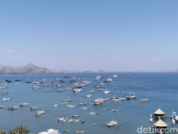 Jarak Pandang Membaik, Kapal Wisata di Labuan Bajo Diizinkan Berlayar Lagi
