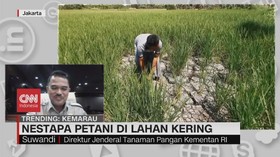 VIDEO: Nestapa Petani di Lahan Kering