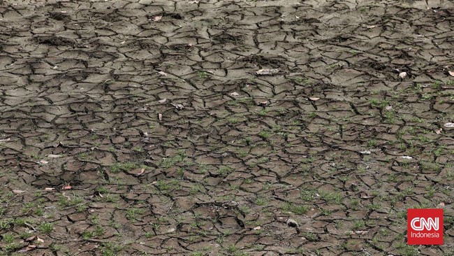 Sejumlah wilayah di Kabupaten Aceh Besar dilanda kekeringan sejak Mei 2024 lalu, sumur hingga sawah penduduk mengalami kekeringan.