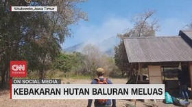 VIDEO: Kebakaran Hutan Baluran Meluas