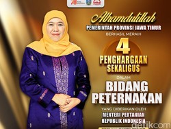 Komitmen Khofifah Majukan Peternakan Jatim Berbuah 4 Penghargaan Kementan