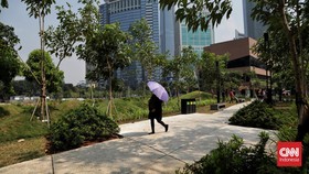 FOTO: Malu-malu pada Matahari Jakarta