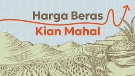 INFOGRAFIS: Harga Beras Kian Mahal Sepanjang Agustus-September 2023