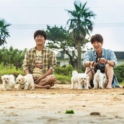 Pencinta Anabul Merapat, 5 Drakor dan Film yang Dipenuhi Hewan Lucu Ini Harus Kamu Tonton!