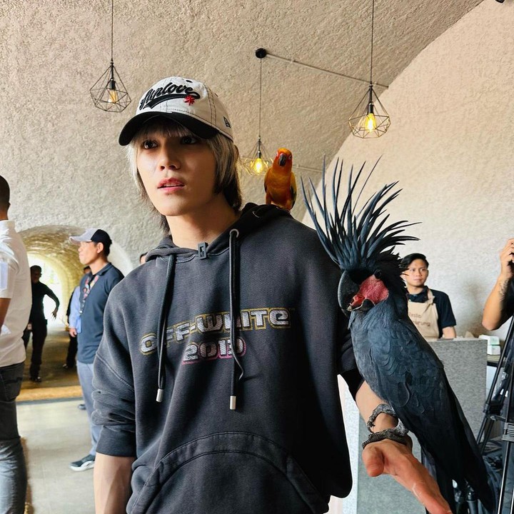 <p>Di Taman Burung TMII, kali ini Taeyong memberanikan diri untuk mengambil photoshoot bersama burung Kakatua Raja eksotis yang bertengger di lengannya. Di bahunya, seekor burung parkit Sun Conure membuat fotonya semakin gemas. (Foto: Instagram @taeoxo_nct)</p>
