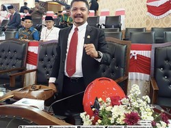 Ketua PSI Sumut soal Anggota DPRD Pakai Jaket Ojol di Pesawat: Gimmick Politik