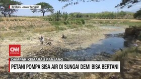 VIDEO: Petani Pompa Sisa Air di Sungai Demi Tetap Bisa Bertani