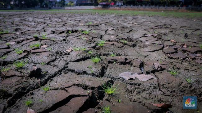 Waspada! Cuaca Panas Mendidih Masih Lanjut Sepanjang Oktober