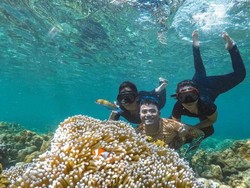 Snorkeling di Pulau Badalu, Surganya Bawah Laut Sumut