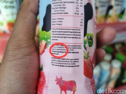 Tak Cuma Yoghurt, Ini Makanan Berbahan Karmin yang Diharamkan LBM NU Jatim