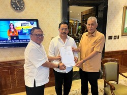 Eks Gubernur Nurdin Basirun Jadi Plt Ketua Hanura Kepri