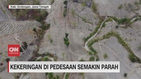 VIDEO: Kekeringan di Pedesaan Semakin Parah