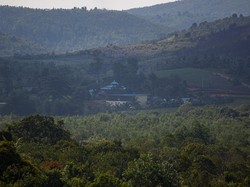 Investasi Rempang Eco City Capai Rp 381 T, Dibagi Jadi 7 Zona